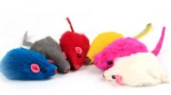 עכבר צבעוני מרשרש